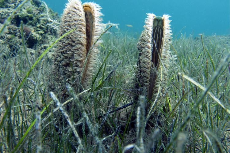 Slika /Zavod/DSC_0072a.jpg