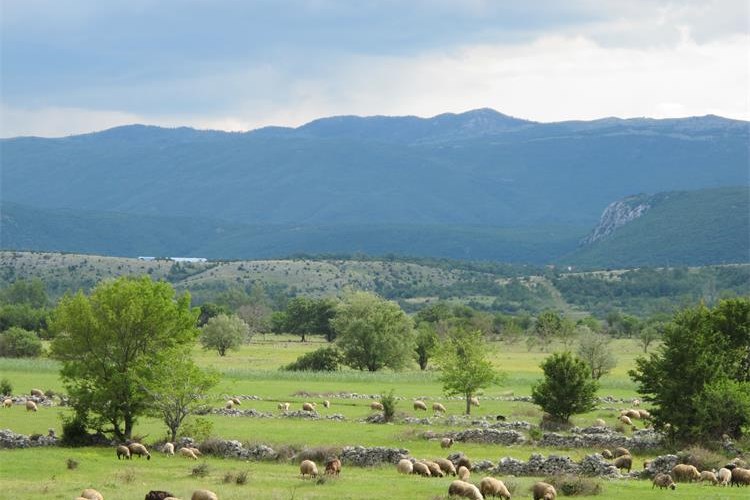 Slika /public/IMG_9622.jpg