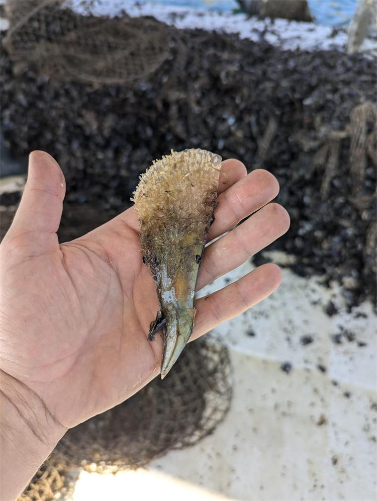 Slika /slike/Vijesti/IMG-20240808-WA0003.jpg