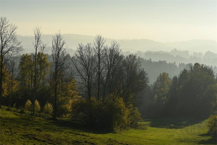 Slika /slike/bernhardfalkinger-nature-6785521_1920.jpg